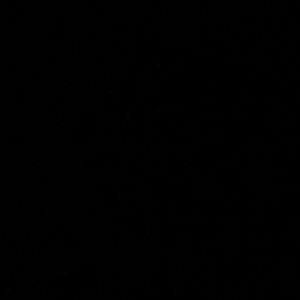 Meet your Posher, Reina